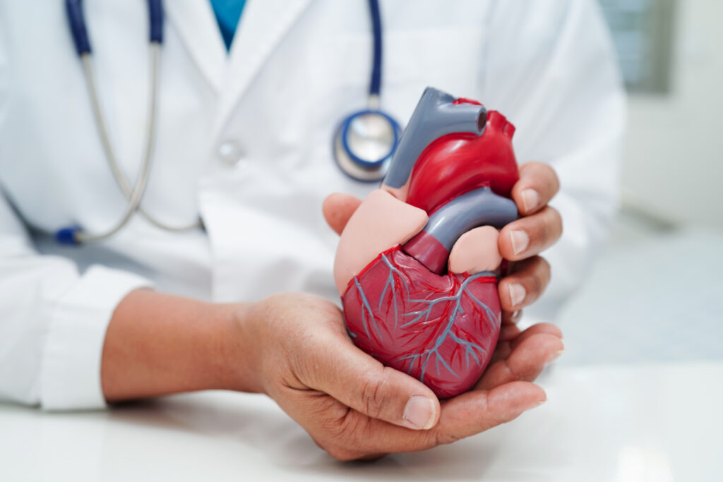 Best Cardiologist in Bellandur